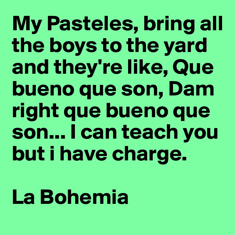 My Pasteles, bring all the boys to the yard and they're like, Que bueno que son, Dam right que bueno que son... I can teach you but i have charge. 

La Bohemia 