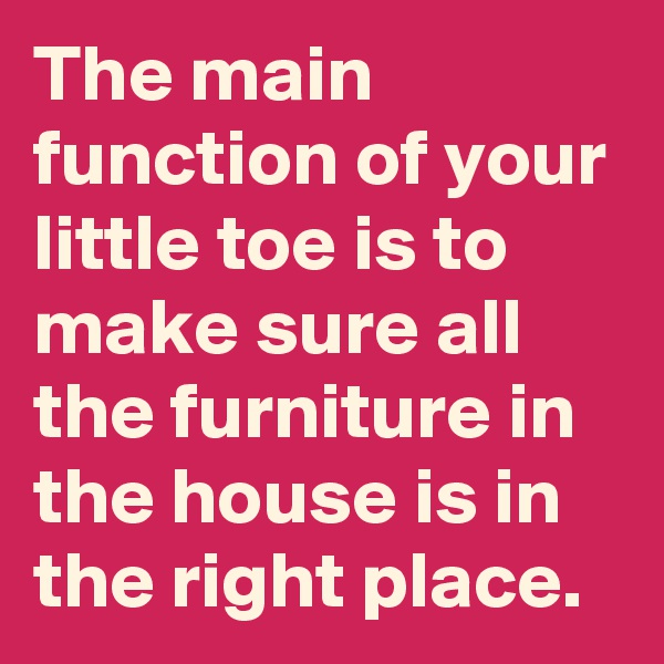 The main function of your little toe is to make sure all the furniture in the house is in the right place.