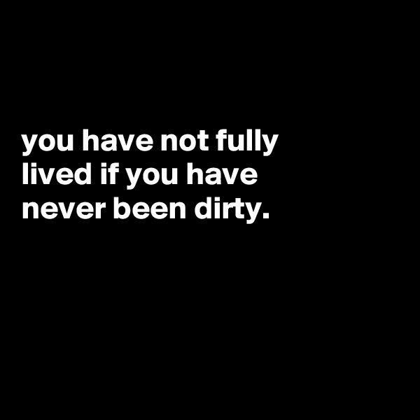 


you have not fully
lived if you have
never been dirty.




