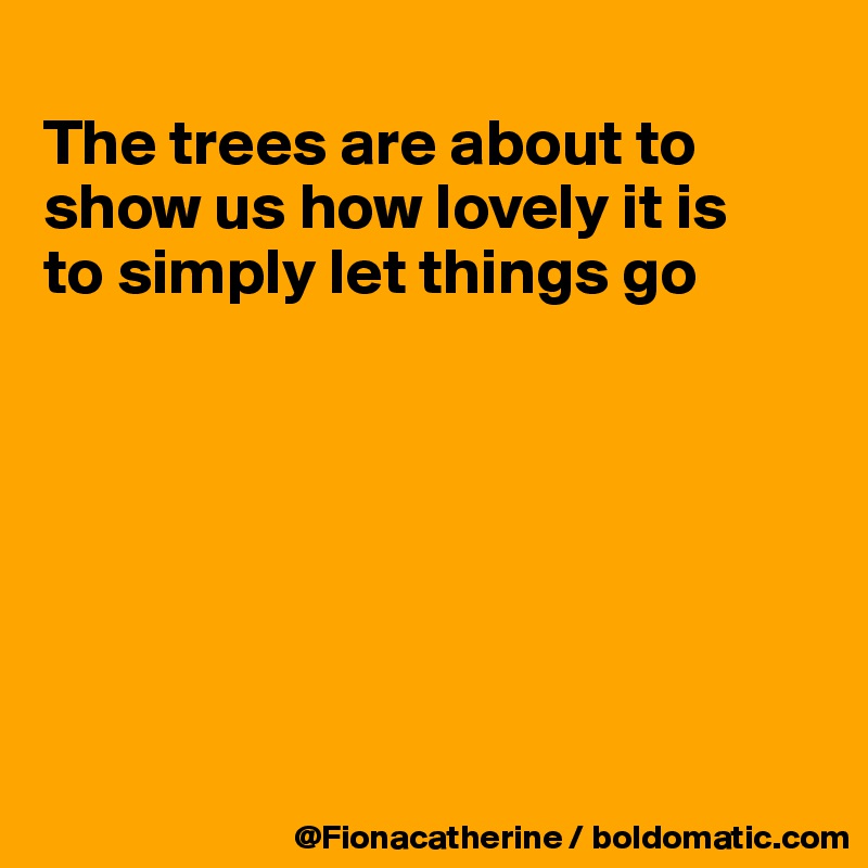 
The trees are about to
show us how lovely it is
to simply let things go







