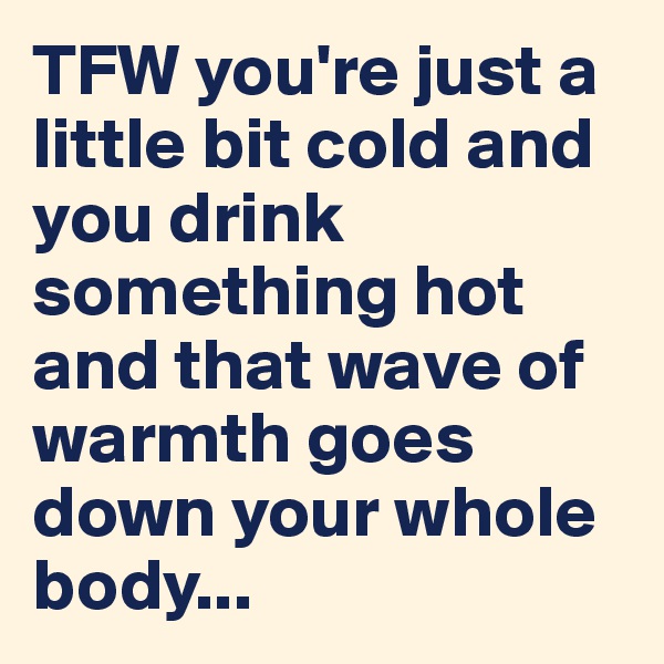TFW you're just a little bit cold and you drink something hot and that wave of warmth goes down your whole body...