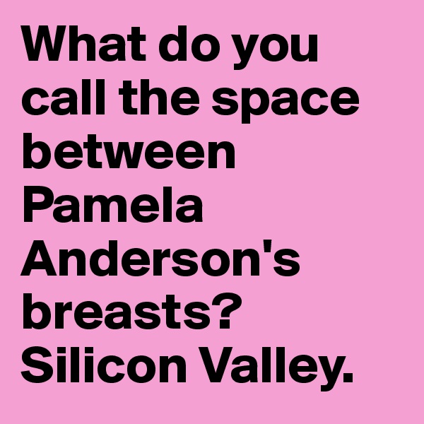 What do you call the space between Pamela Anderson's breasts?
Silicon Valley.