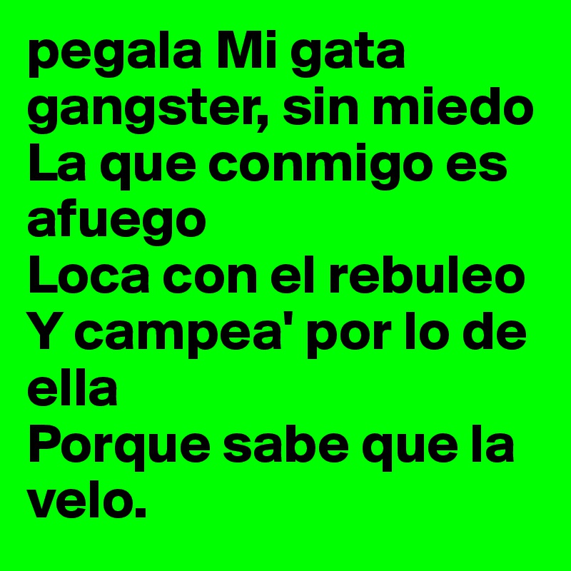 pegala Mi gata gangster, sin miedo 
La que conmigo es afuego 
Loca con el rebuleo 
Y campea' por lo de ella 
Porque sabe que la velo.