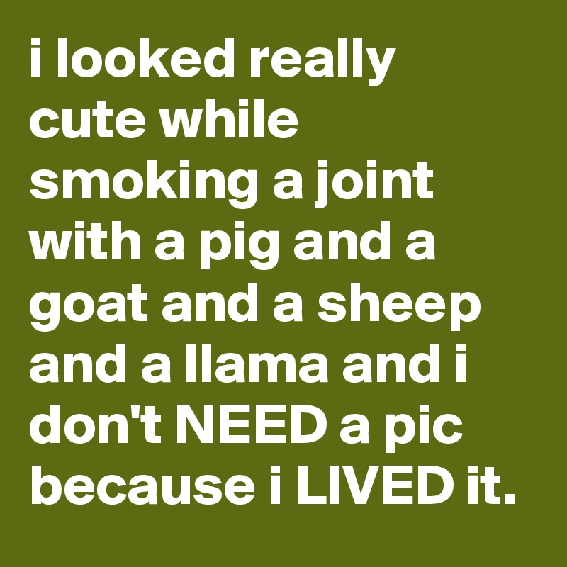 i looked really cute while smoking a joint with a pig and a goat and a sheep and a llama and i don't NEED a pic because i LIVED it.