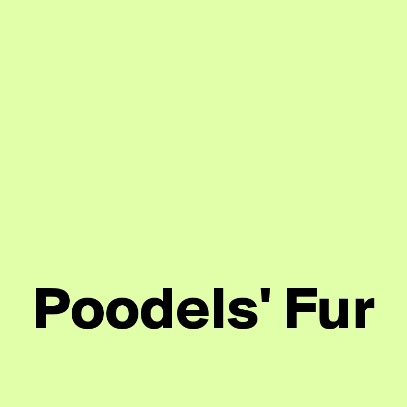 



 Poodels' Fur