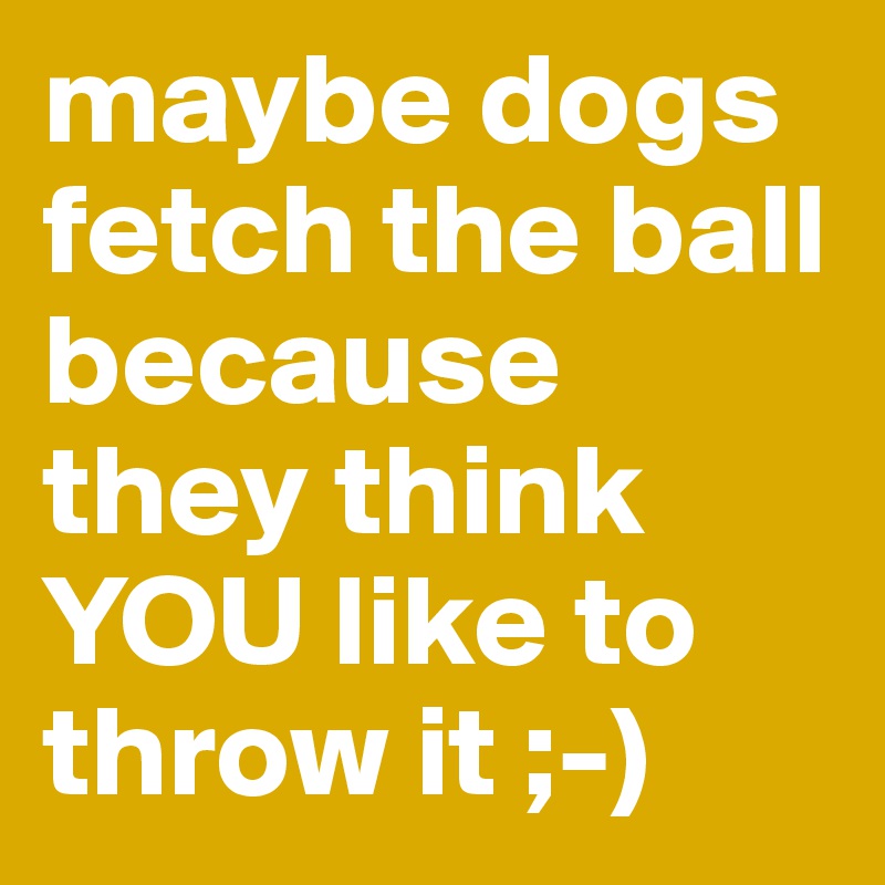maybe dogs fetch the ball because they think YOU like to throw it ;-)