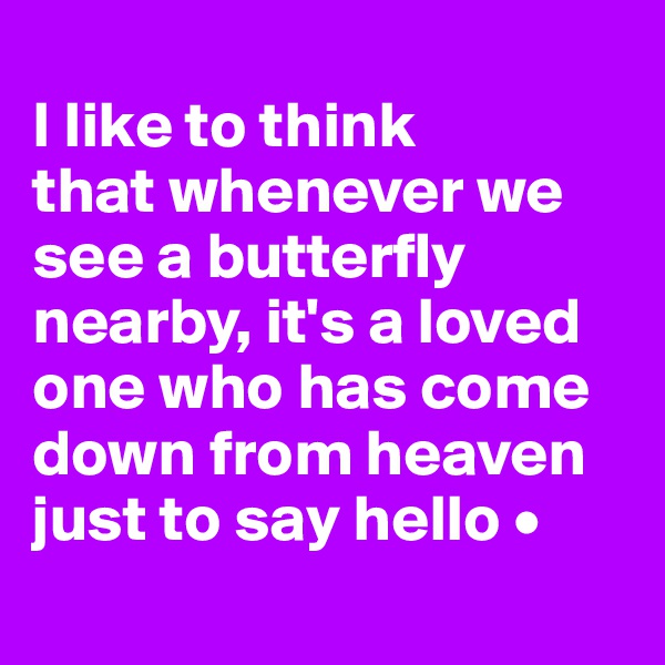 
I like to think
that whenever we see a butterfly nearby, it's a loved one who has come down from heaven just to say hello •
