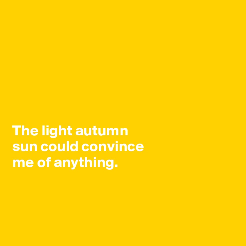 






The light autumn 
sun could convince 
me of anything.



