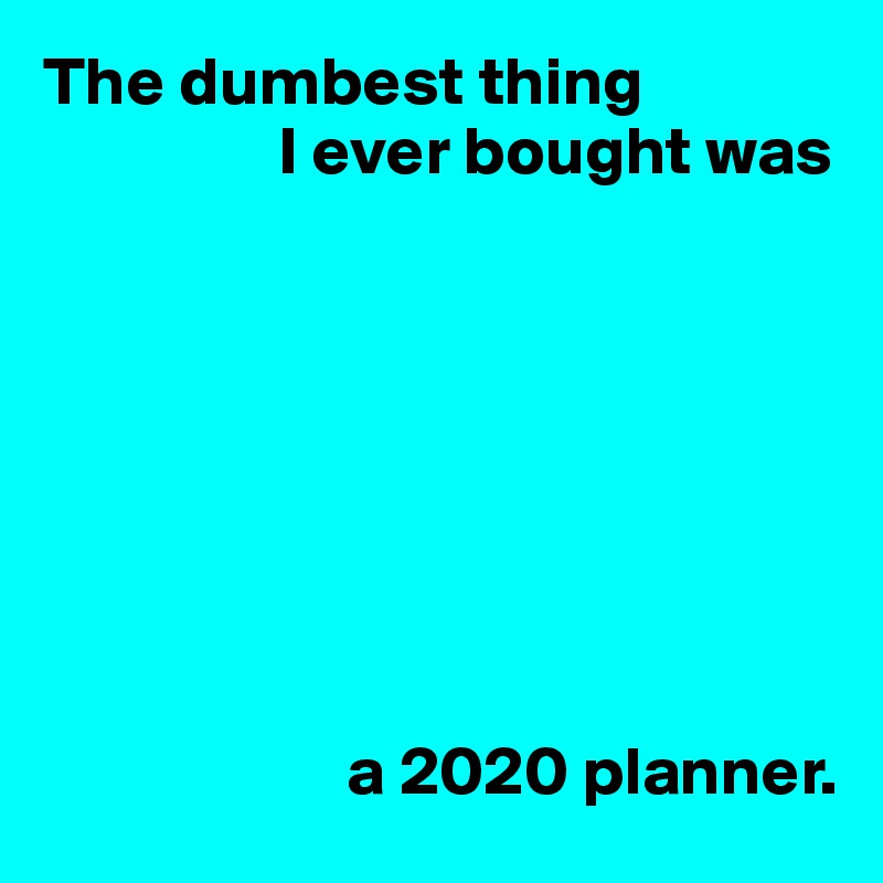 The dumbest thing
                 I ever bought was








                      a 2020 planner.