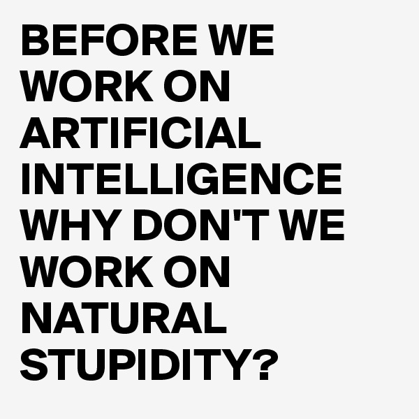 BEFORE WE WORK ON ARTIFICIAL INTELLIGENCE WHY DON'T WE WORK ON NATURAL STUPIDITY?