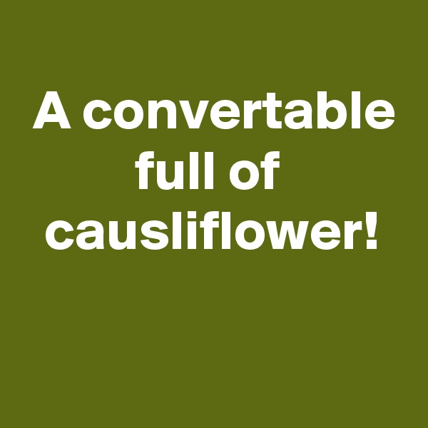 
 A convertable
          full of
  causliflower!

