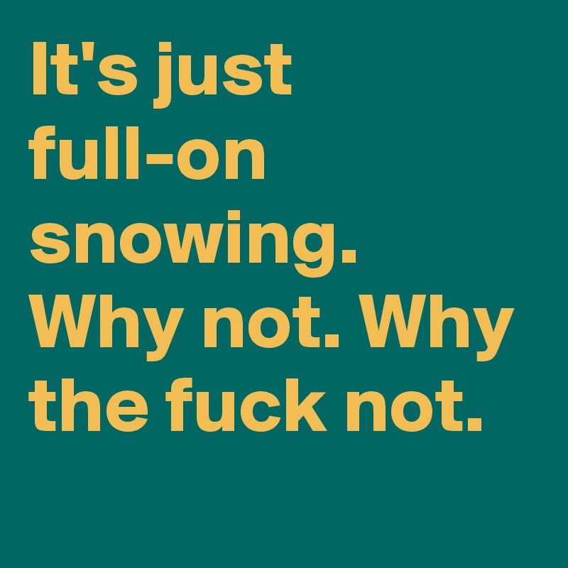 It's just full-on snowing. Why not. Why the fuck not.