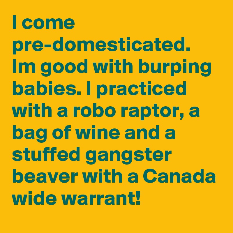 I come pre-domesticated. Im good with burping babies. I practiced with a robo raptor, a bag of wine and a stuffed gangster beaver with a Canada wide warrant!