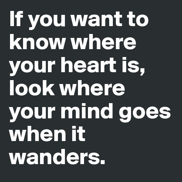 If you want to know where your heart is,
look where your mind goes when it wanders.