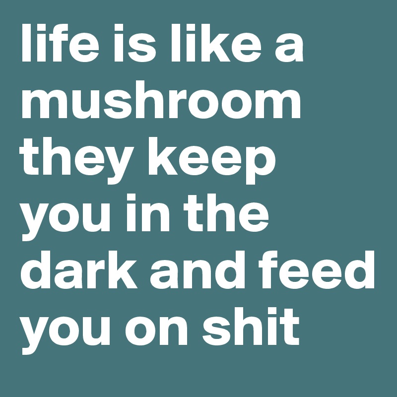 life is like a mushroom they keep you in the dark and feed you on shit