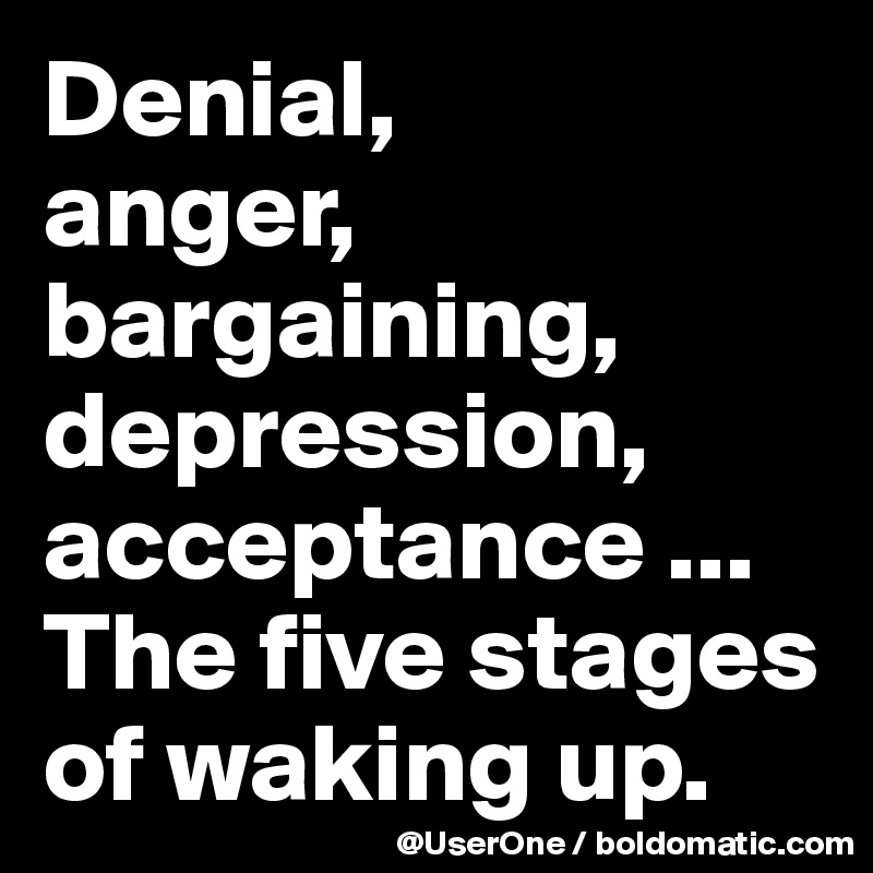 Denial, 
anger, bargaining, depression, acceptance ...
The five stages
of waking up.