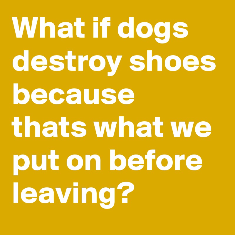 What if dogs destroy shoes because thats what we put on before leaving?