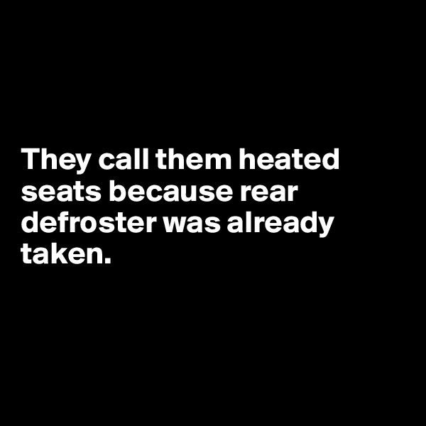 



They call them heated seats because rear defroster was already taken.



