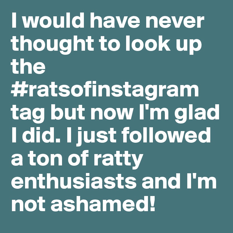 I would have never thought to look up the #ratsofinstagram tag but now I'm glad I did. I just followed a ton of ratty enthusiasts and I'm not ashamed! 