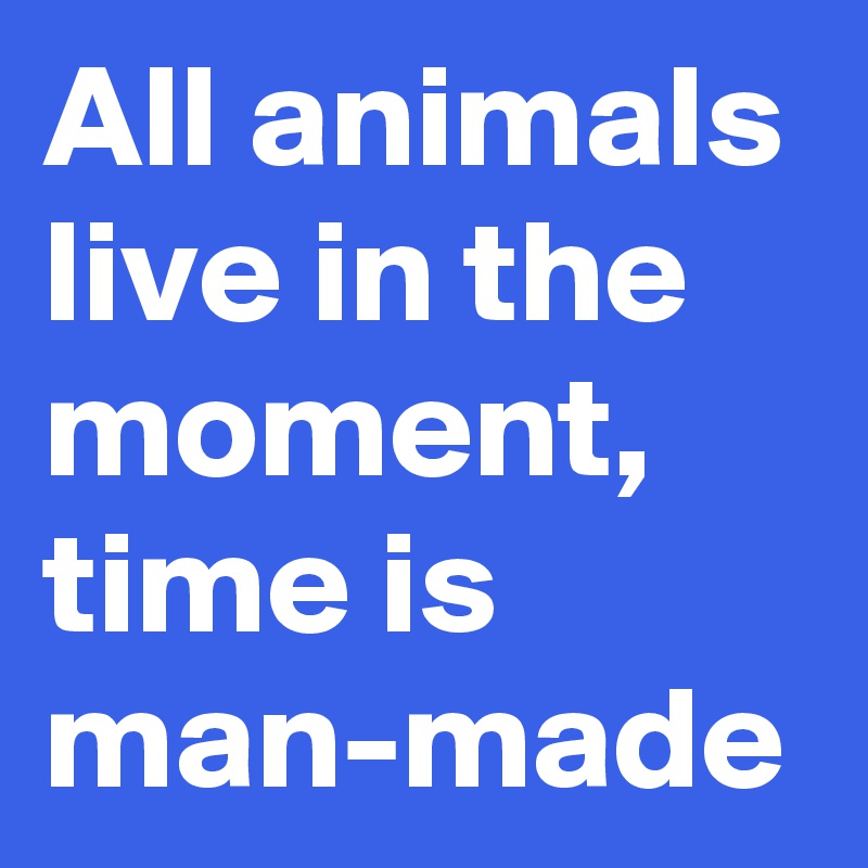 All animals live in the moment, time is  man-made 
