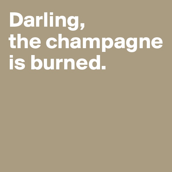 Darling, 
the champagne is burned. 



