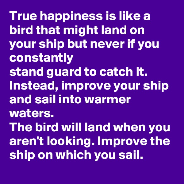 True happiness is like a bird that might land on your ship but never if you constantly 
stand guard to catch it. Instead, improve your ship and sail into warmer waters.
The bird will land when you aren't looking. Improve the ship on which you sail.