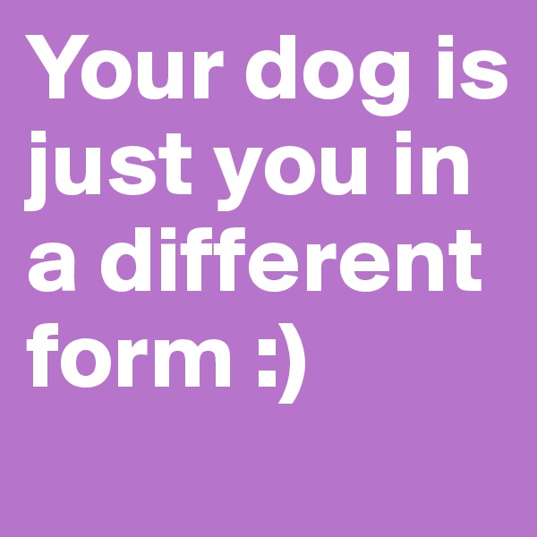 Your dog is just you in a different form :) 