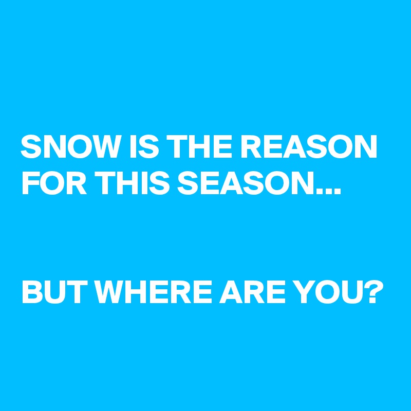 


SNOW IS THE REASON FOR THIS SEASON... 


BUT WHERE ARE YOU?

