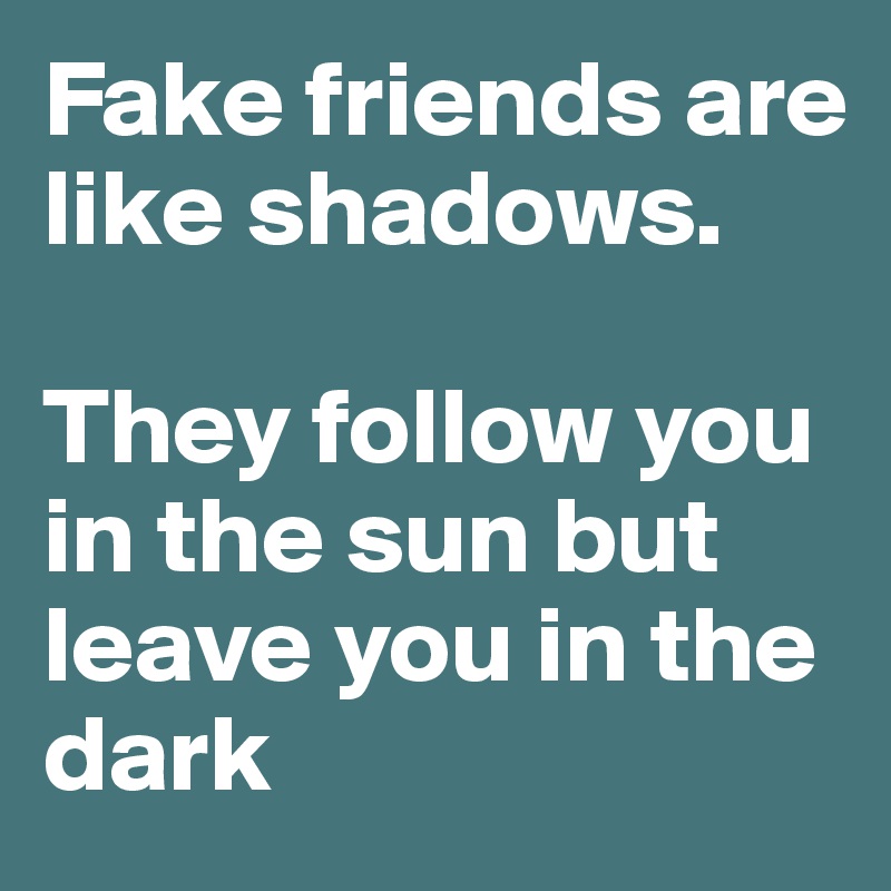 Fake friends are like shadows. 

They follow you in the sun but leave you in the dark