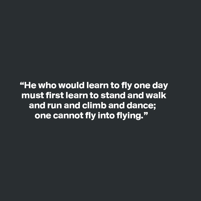 He who would learn to fly one day must first