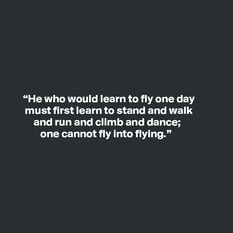 






     “He who would learn to fly one day
      must first learn to stand and walk 
          and run and climb and dance; 
             one cannot fly into flying.”






