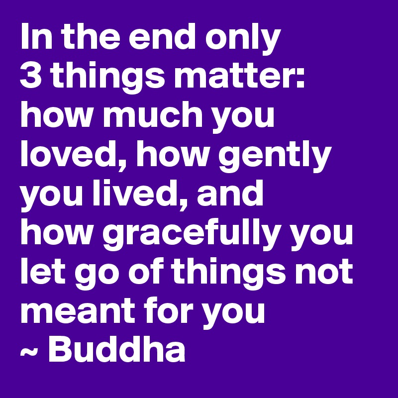In the end only 
3 things matter: 
how much you loved, how gently you lived, and 
how gracefully you let go of things not meant for you
~ Buddha