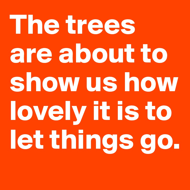The trees are about to show us how lovely it is to let things go. 