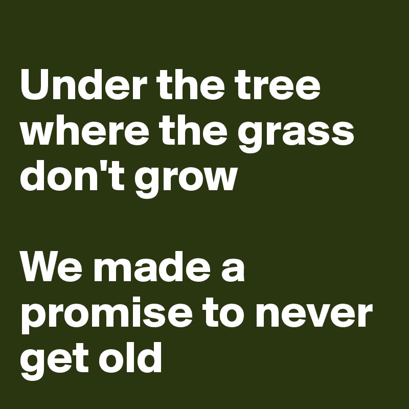 
Under the tree where the grass don't grow

We made a promise to never get old