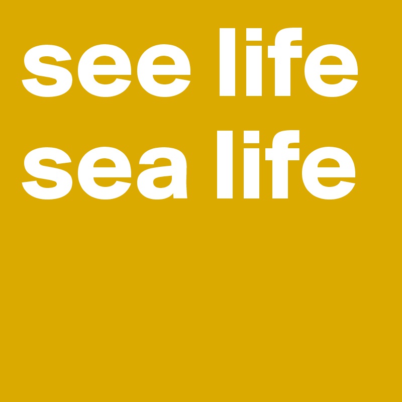 see life 
sea life
