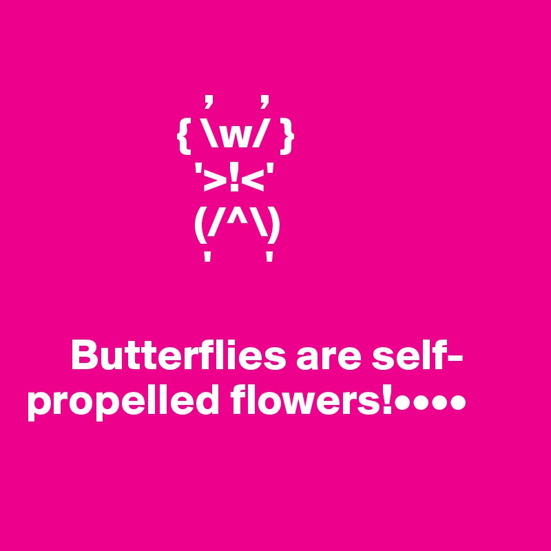 
                    ,     ,
                 { \w/ }
                   '>!<'
                   (/^\)
                    '      '

     Butterflies are self-propelled flowers!••••        

