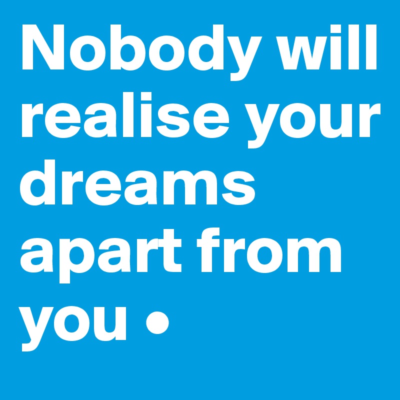Nobody will realise your dreams apart from you • 