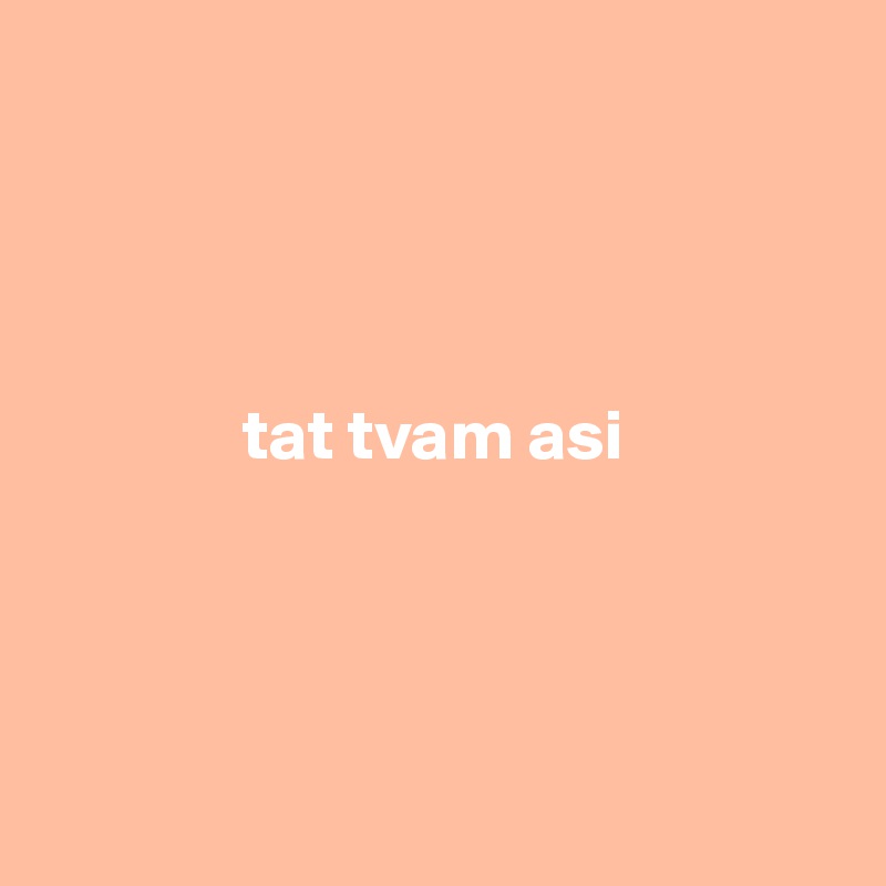 




              tat tvam asi




