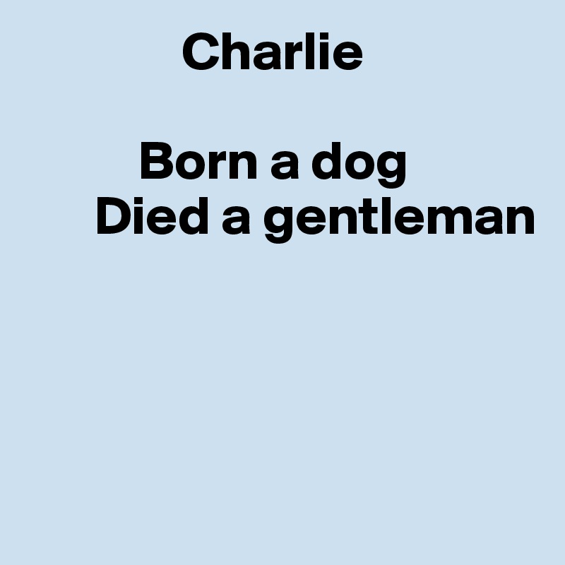               Charlie

          Born a dog
      Died a gentleman




