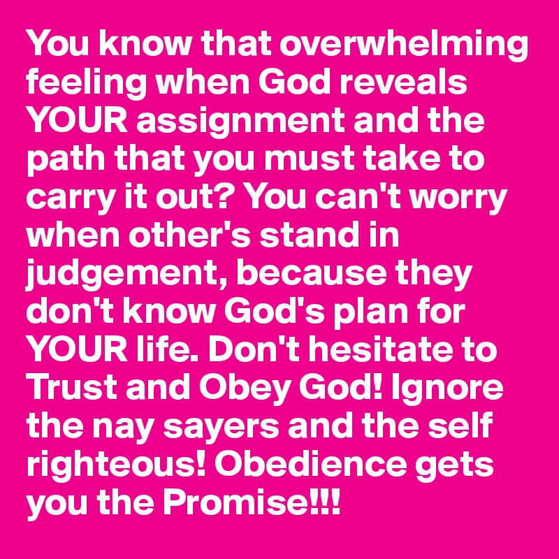 You know that overwhelming feeling when God reveals YOUR assignment and the path that you must take to carry it out? You can't worry when other's stand in judgement, because they don't know God's plan for YOUR life. Don't hesitate to Trust and Obey God! Ignore the nay sayers and the self righteous! Obedience gets you the Promise!!! 