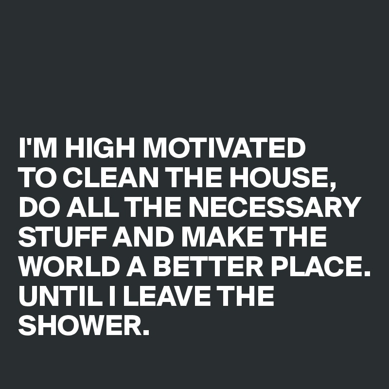 



I'M HIGH MOTIVATED  
TO CLEAN THE HOUSE, 
DO ALL THE NECESSARY STUFF AND MAKE THE WORLD A BETTER PLACE. 
UNTIL I LEAVE THE SHOWER.