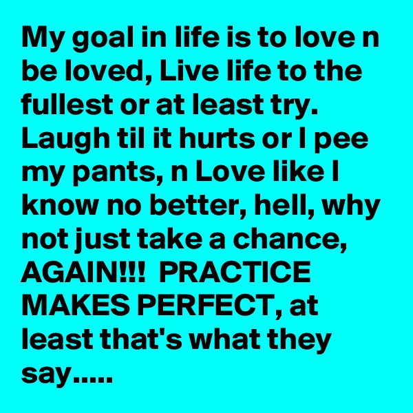 My goal in life is to love n be loved, Live life to the fullest or at least try. Laugh til it hurts or I pee my pants, n Love like I know no better, hell, why not just take a chance, AGAIN!!!  PRACTICE MAKES PERFECT, at least that's what they say..... 