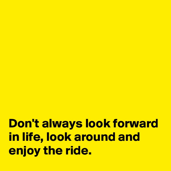 







Don't always look forward in life, look around and enjoy the ride.