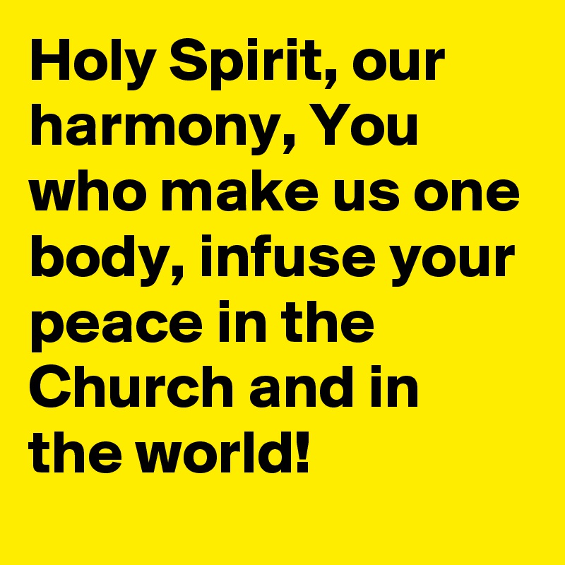 Holy Spirit, our harmony, You who make us one body, infuse your peace in the Church and in the world!