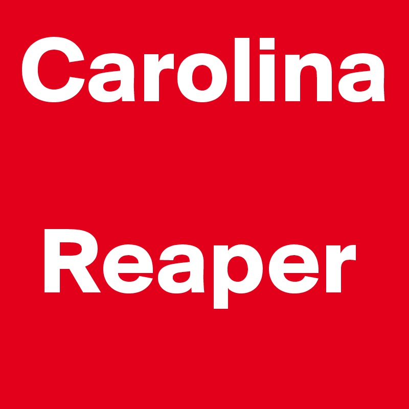 Carolina 

 Reaper