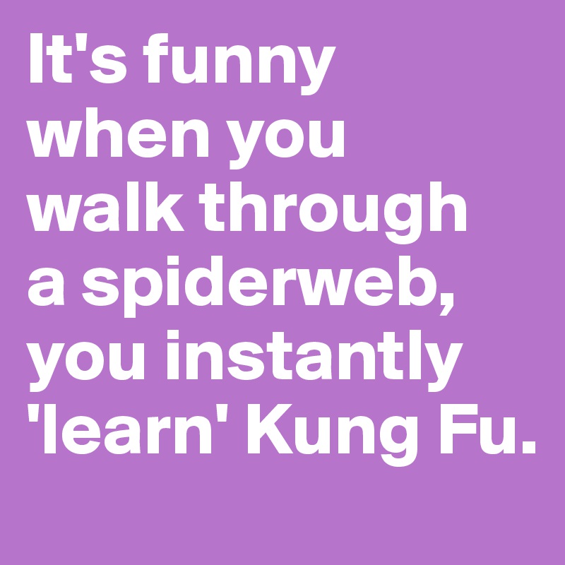 It's funny 
when you 
walk through 
a spiderweb, 
you instantly 'learn' Kung Fu.