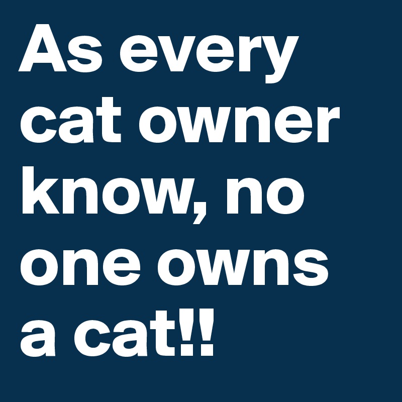 As every cat owner know, no one owns a cat!! 