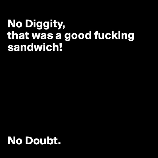 
No Diggity,
that was a good fucking sandwich!







No Doubt.