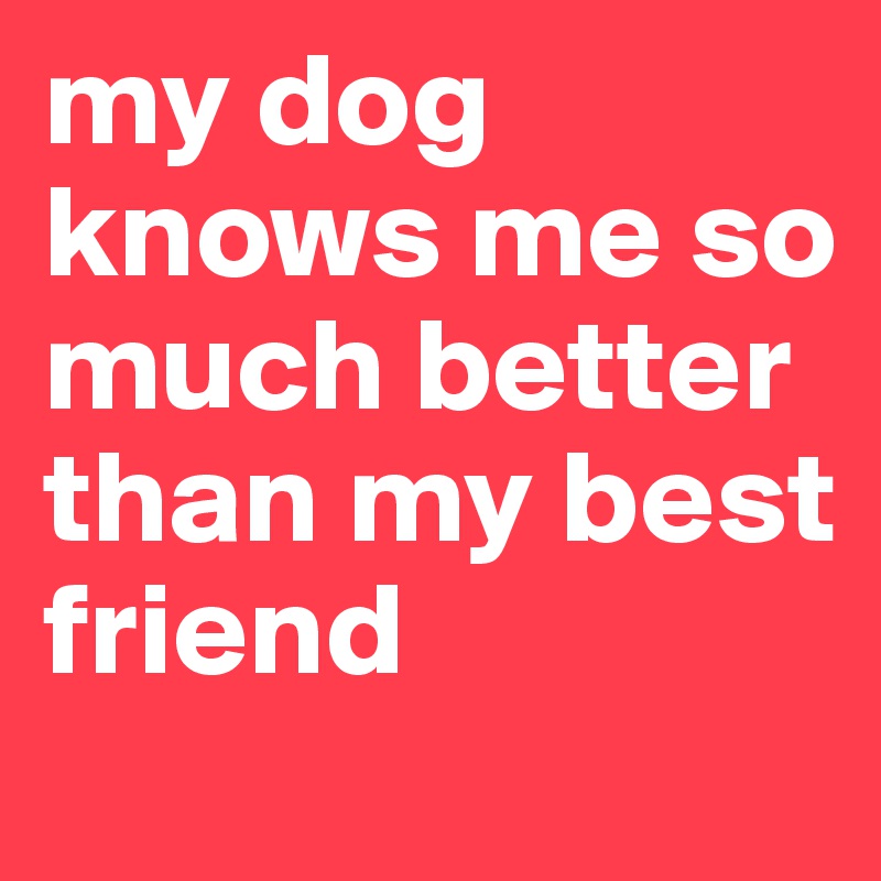 my dog knows me so much better than my best friend