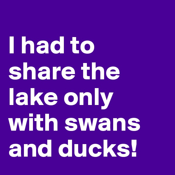 
I had to share the lake only with swans and ducks!